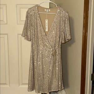 She + Sky Sequin V-Neck Dress in Silver and Tan